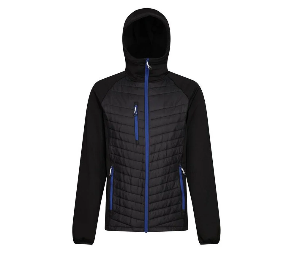 Regatta RGA549 Tweekleurige Gewatteerde Jas – Black/New Royal