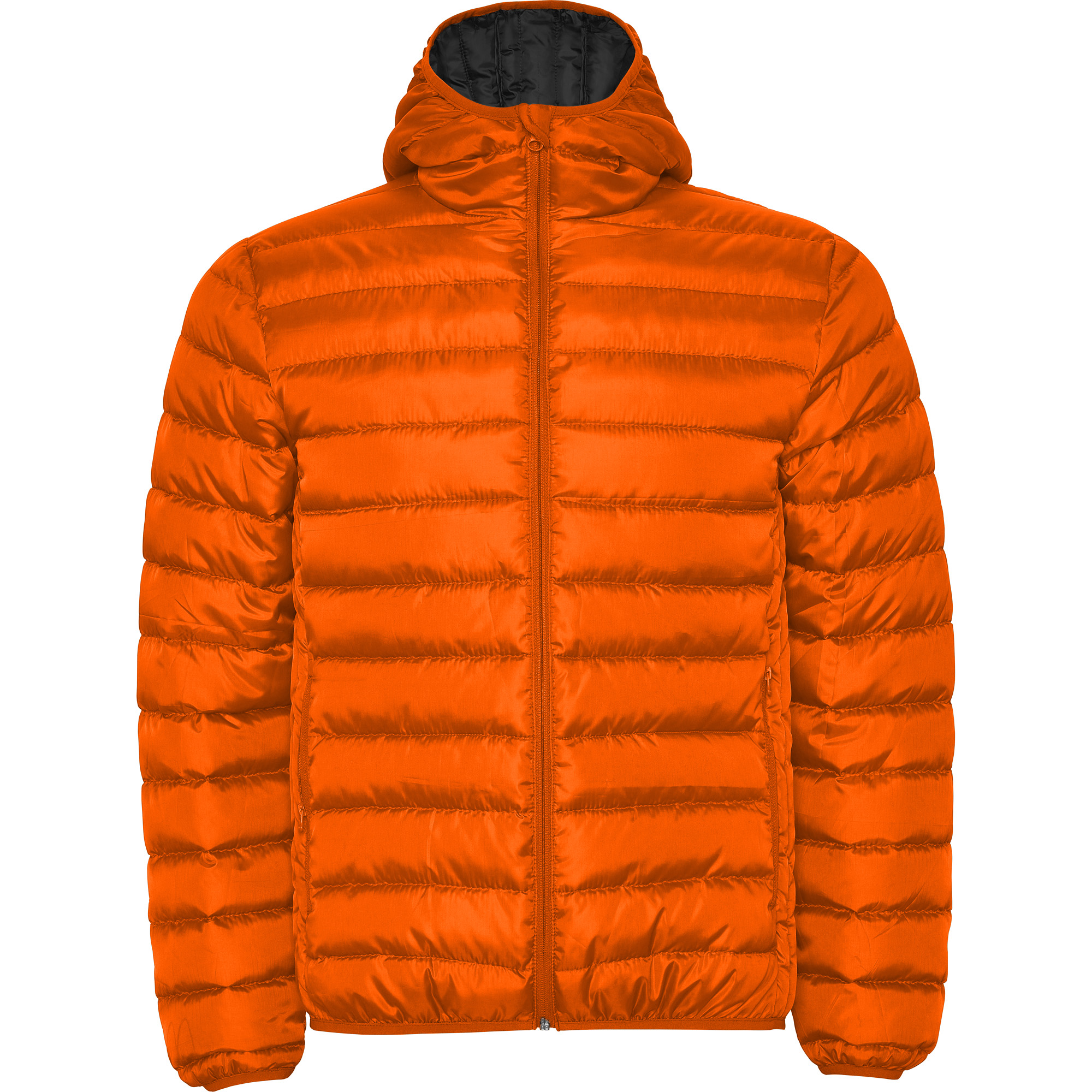 Roly Norway – Controle nodig – ROLY 311