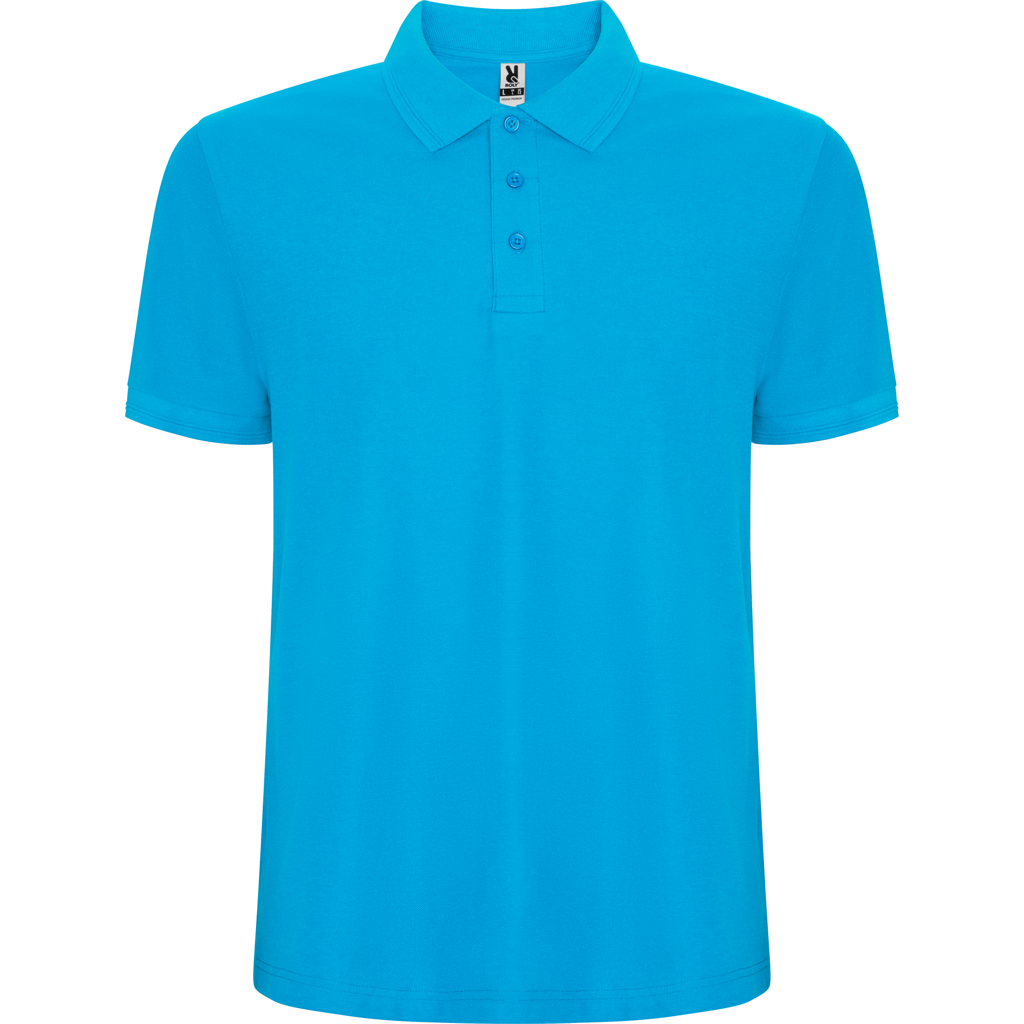 Roly Pegaso premium – Turquoise